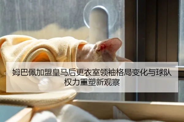 姆巴佩加盟皇马后更衣室领袖格局变化与球队权力重塑新观察
